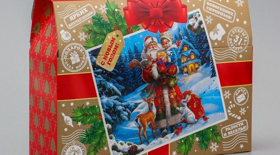 Для детей бойцов СВО и «БАРС-Брянск» собраны новогодние подарки