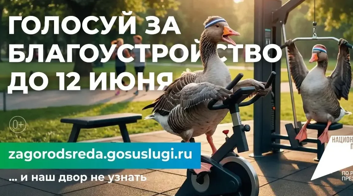Стартовало голосование за объекты благоустройства: как россияне меняют свои города