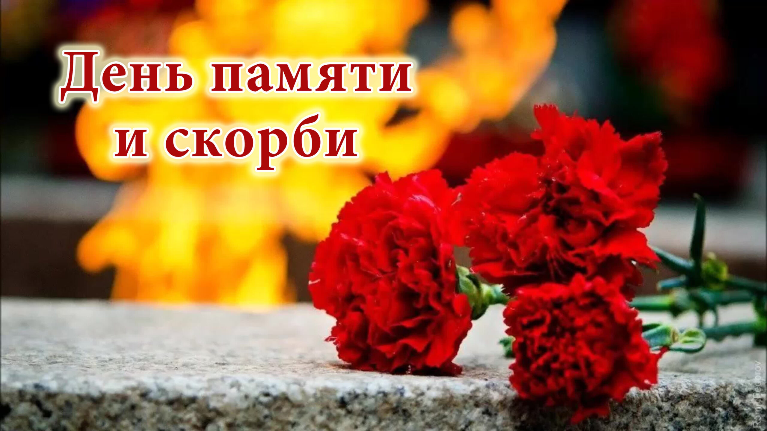 Руководители Дятьковского района о Дне памяти и скорби