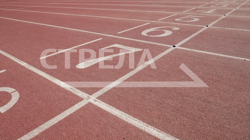 В рейтинге реализации комплекса ГТО Брянская область заняла 15 место