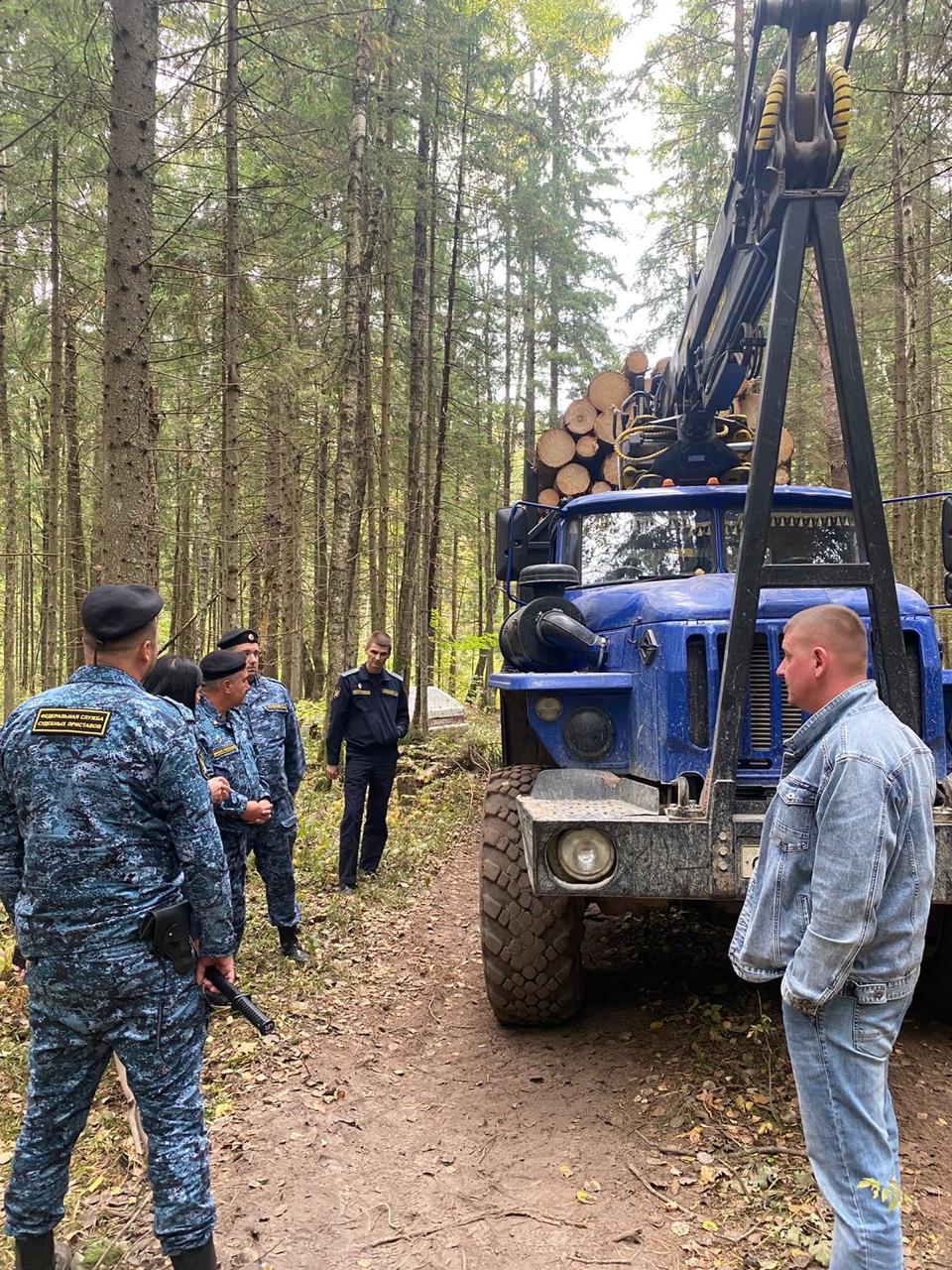 Благодаря судебным приставам с лесозаготавливающей организации взыскано более 43 миллионов рублей