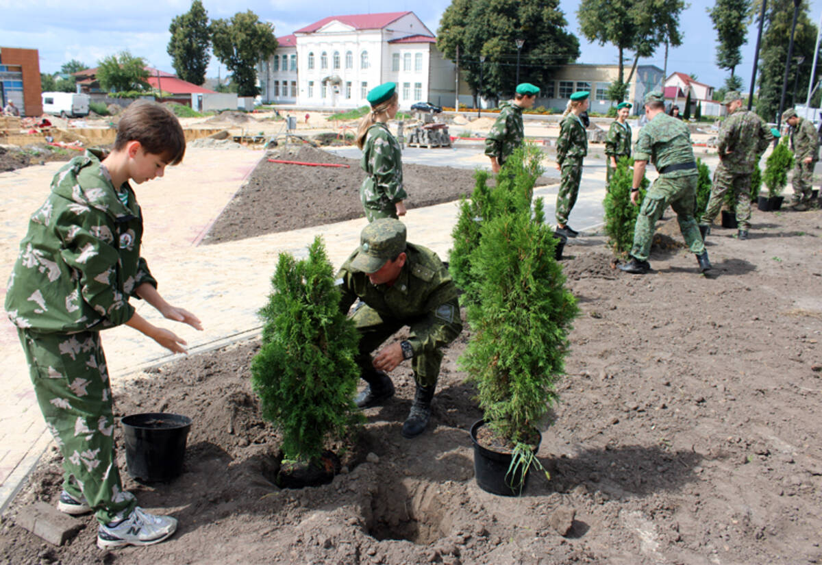 В Стародубе Брянской области высадили туи в сквере «40 лет Победы»