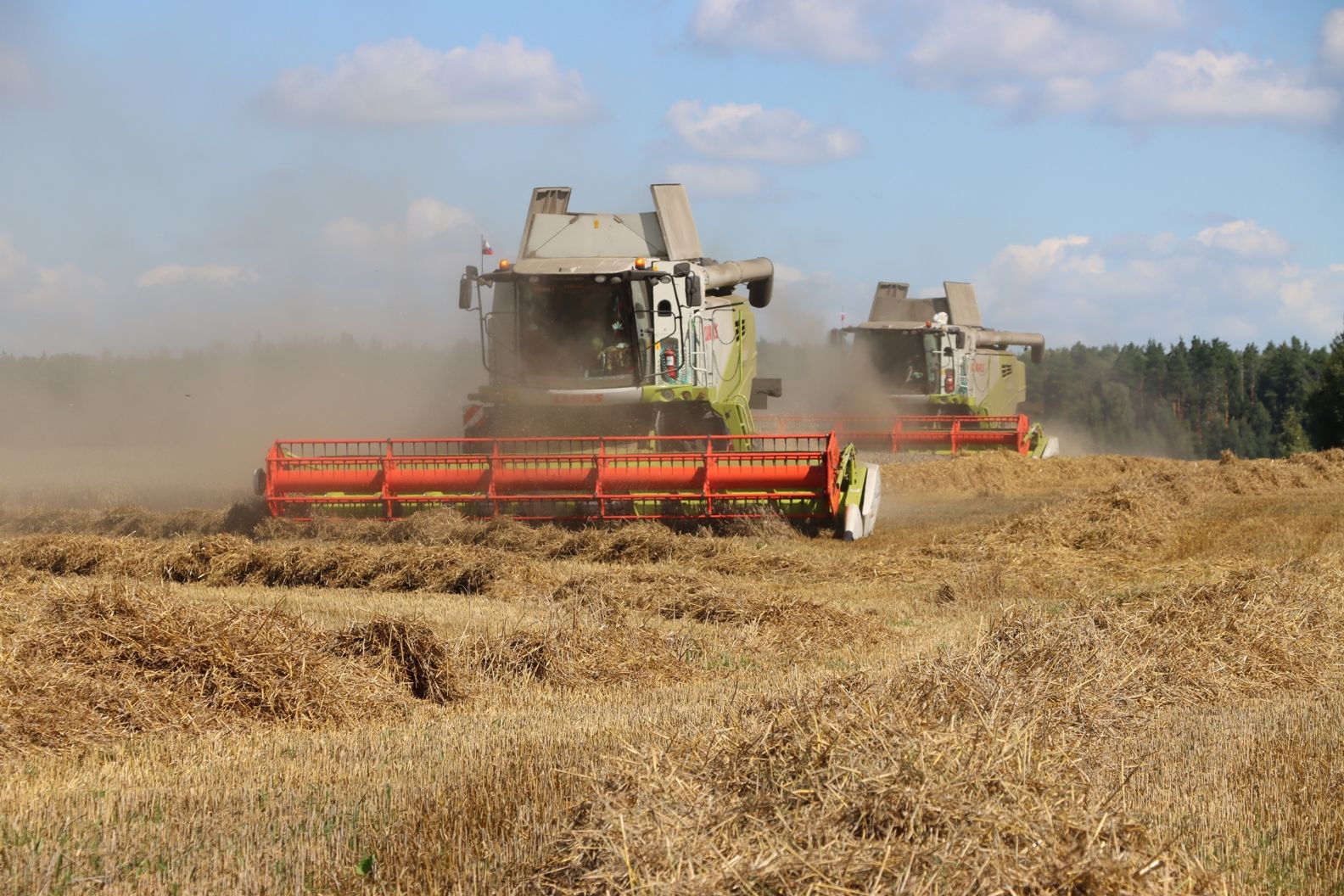 В Севском районе полным ходом убирают урожай