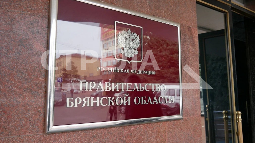 В Брянской области реализуются меры поддержки многодетных семей