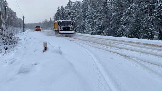 В Брянской области за минувшие сутки было задействовано 223 единицы снегоочистительной и пескораспределительной техники