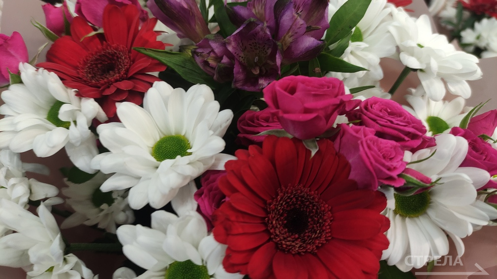 Двое брянцев удостоены высоких государственных наград