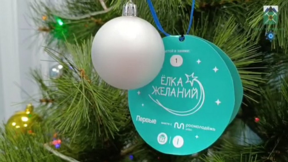 Брянцы исполнили новогодние желания детей из подшефной Брянки