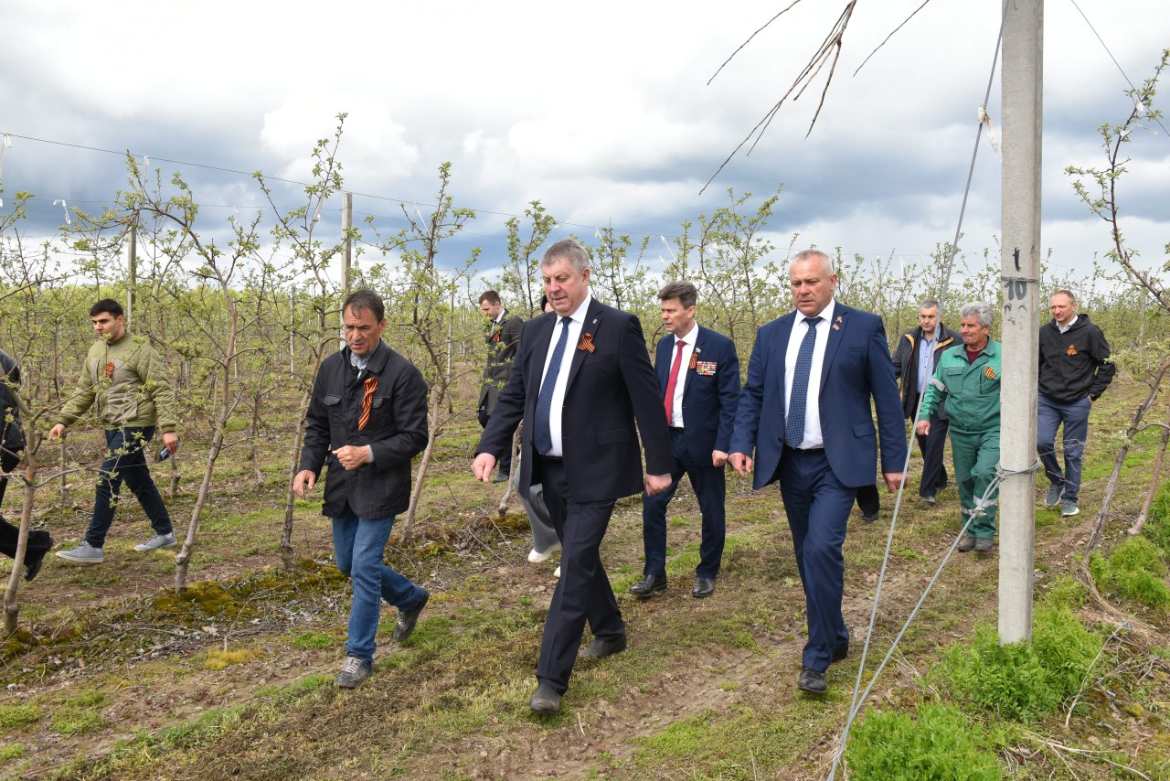 Александр Богомаз принял участие во Всероссийской акции «Сад памяти» в Клетнянском район