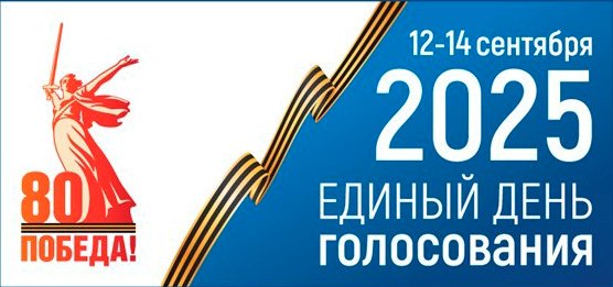 Выборы-2025