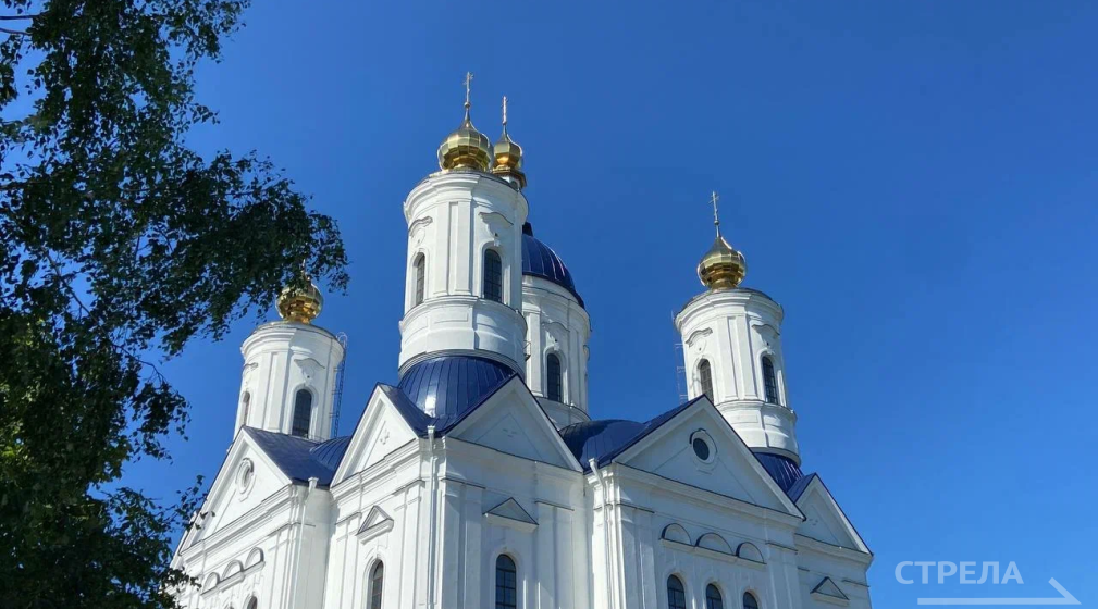 Православные брянцы отмечают праздник Свенской иконы Божией Матери
