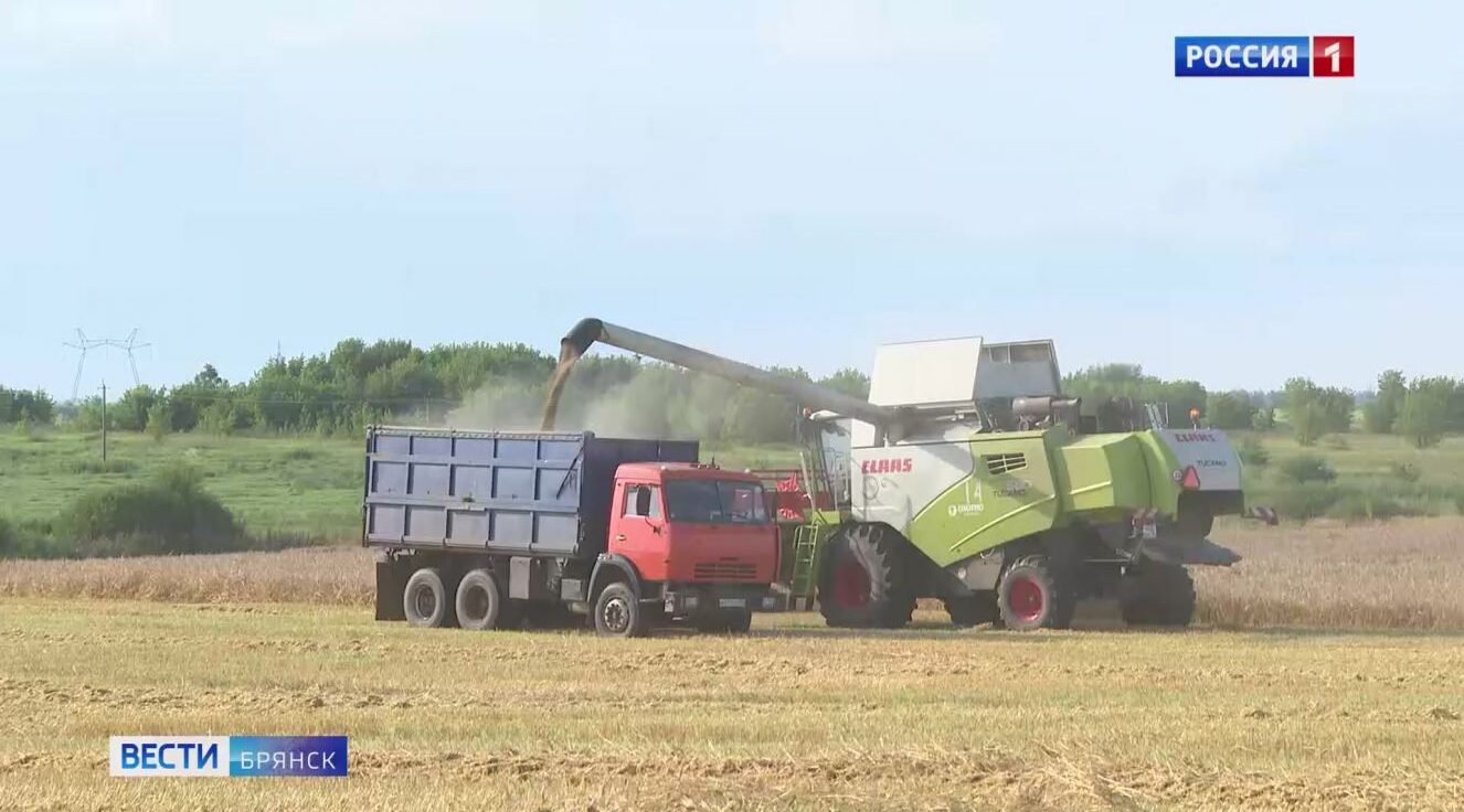 В Брянском регионе завершена уборка зерновых и зернобобовых культур