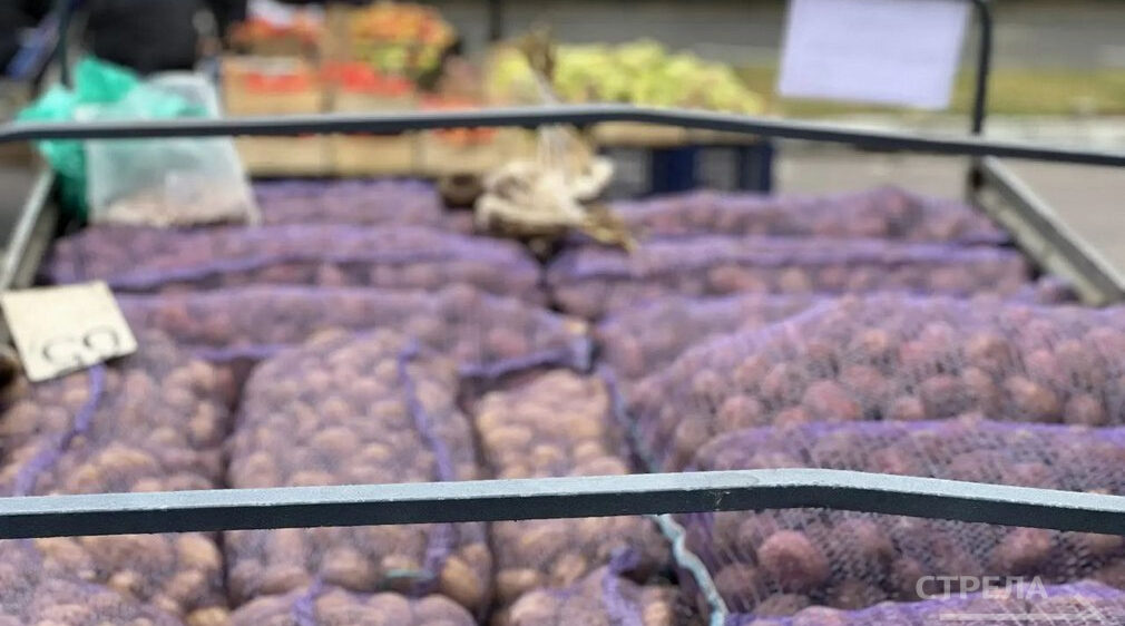 В Брянске работали сельхозярмарки выходного дня