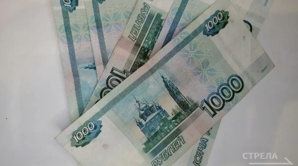 О возможностях нацпроекта «Эффективная и конкурентная экономика» рассказали Брянцам