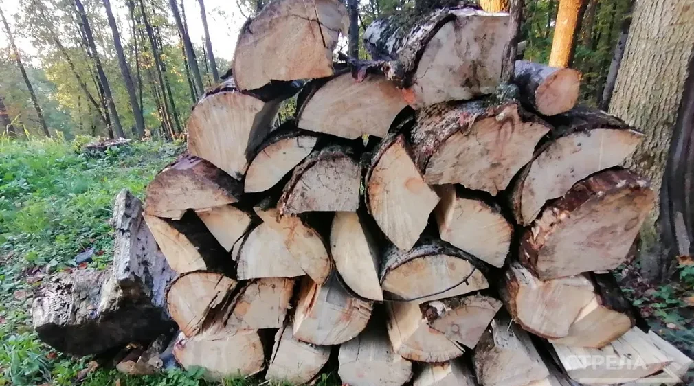 Закон о выплате на топливо участникам СВО поддержали в Брянской областной Думе