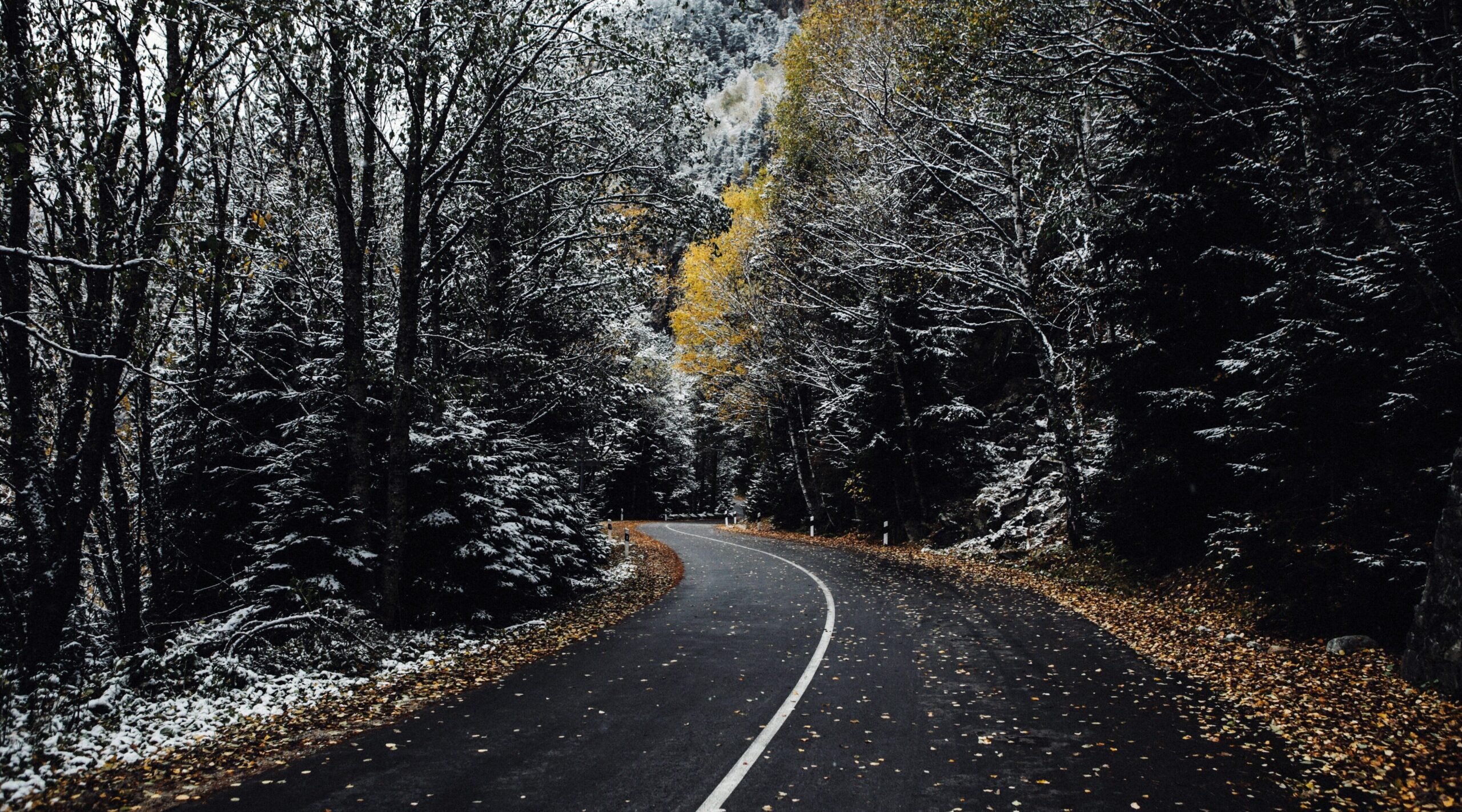 Ремонт дорог в Брянской области