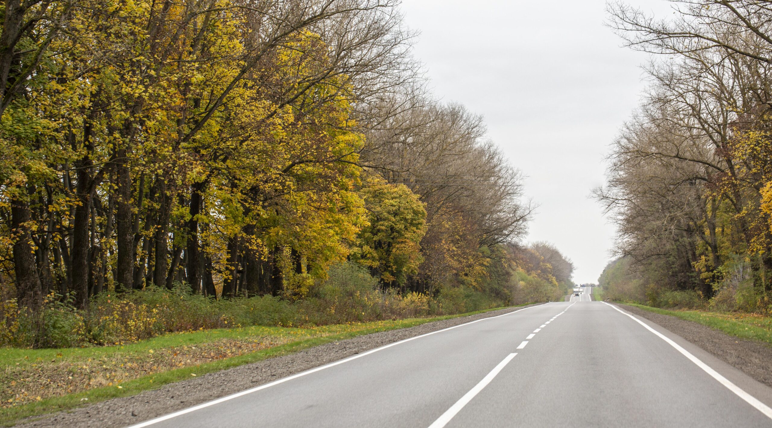 Ремонт автодороги Злынка-Кожановка