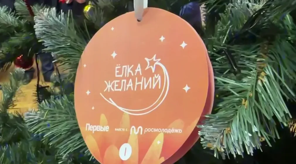 В новогодней акции «Елка желаний» принял участие губернатор Александр Богомаз