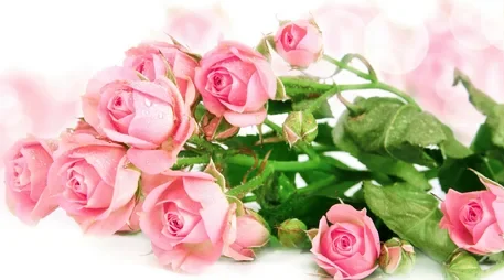 Жительнице Брянской области присвоено почетное звание