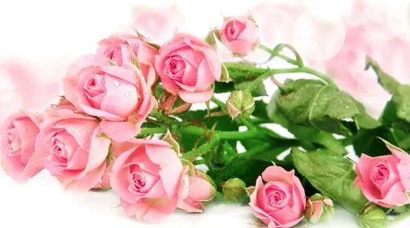 Жительнице Брянской области присвоено почетное звание