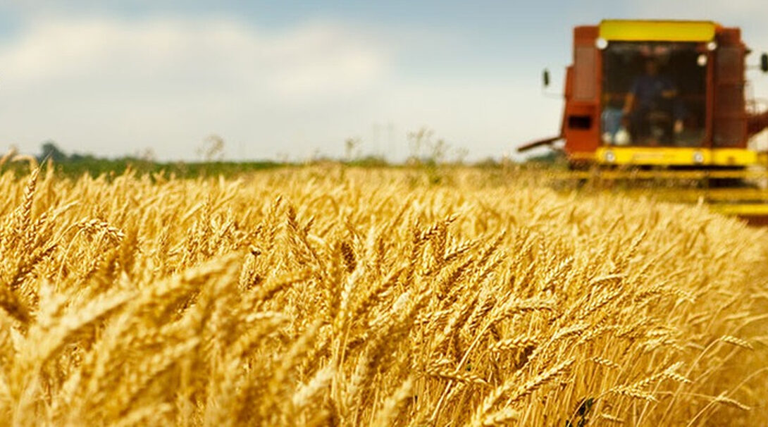 Продолжается укрепление сотрудничества между  Брянской области и Республикой Беларусь