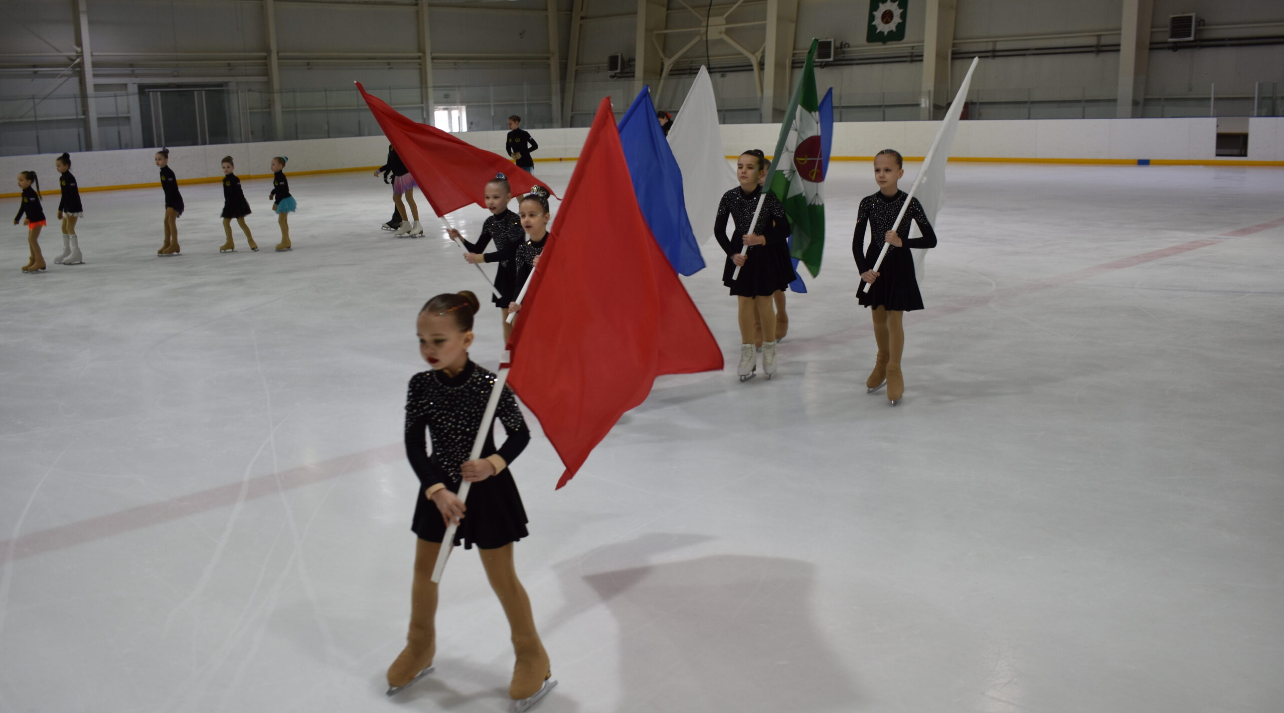 Первенство по фигурному катанию в Дятьково