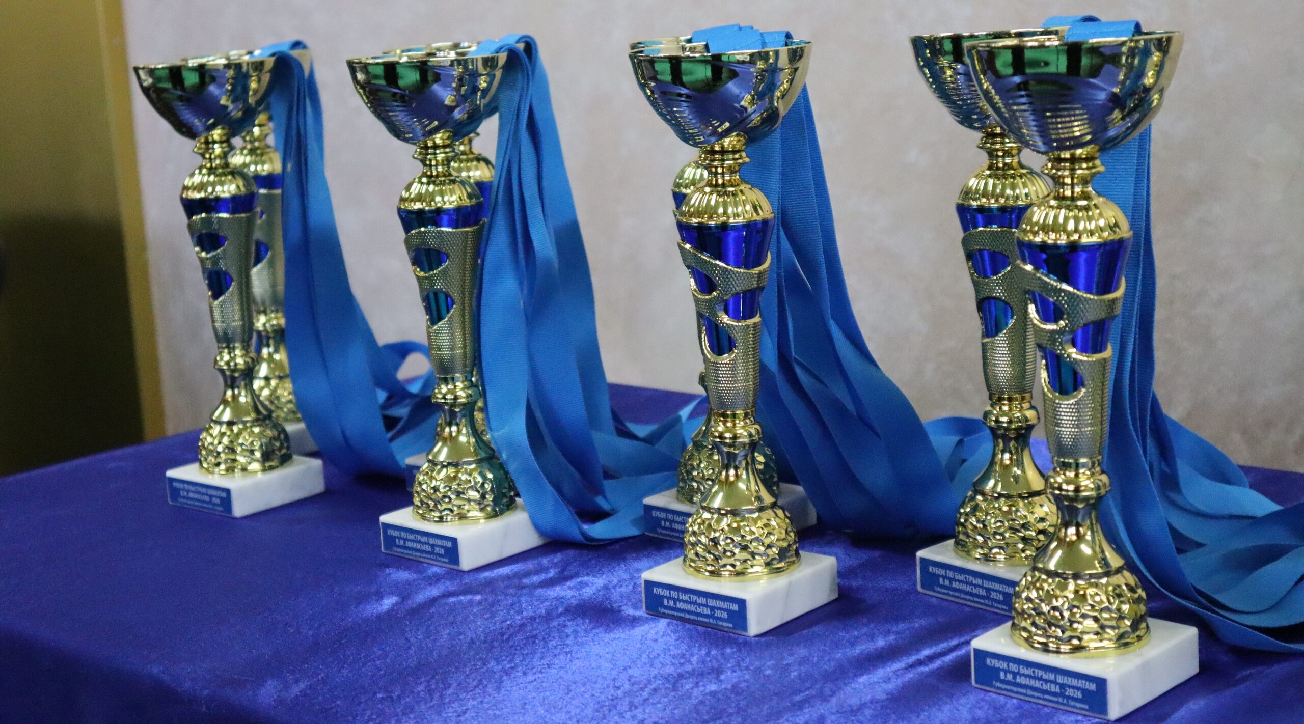 Турнир по быстрым шахматам состоялся в Брянске