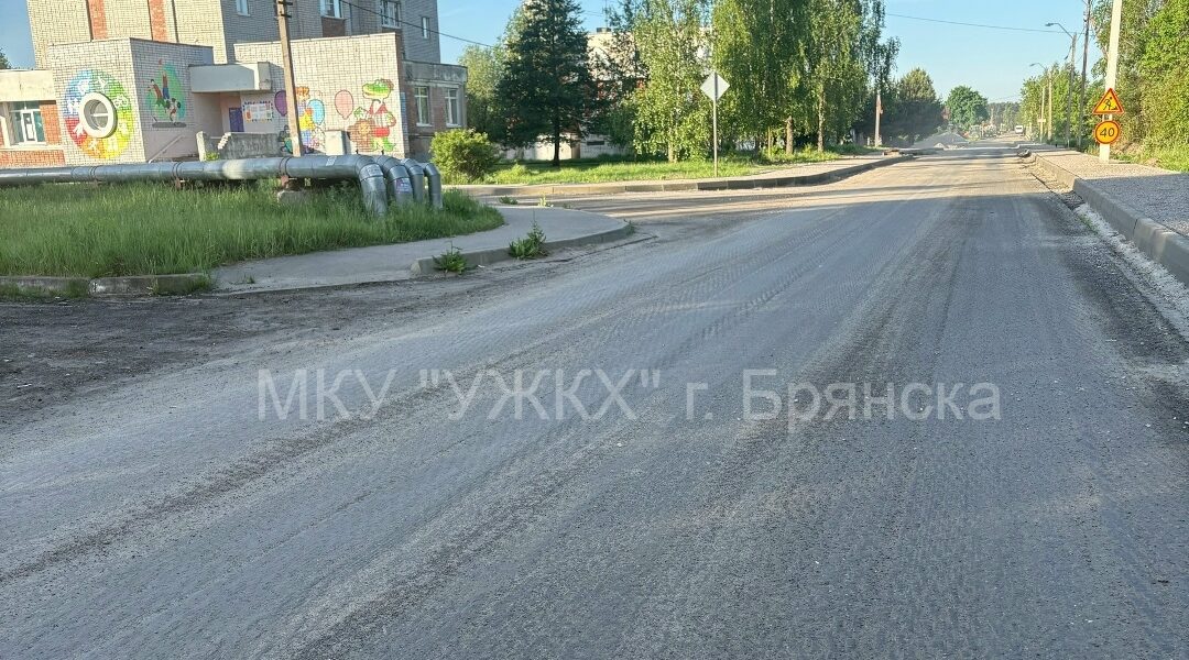 В Бежицком районе капитально ремонтируют автодорогу к пляжу Орлик