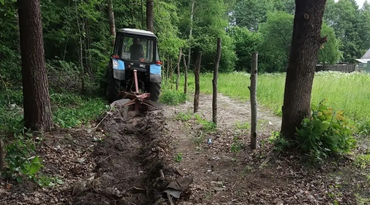 На Брянщине ведется системная защита лесов