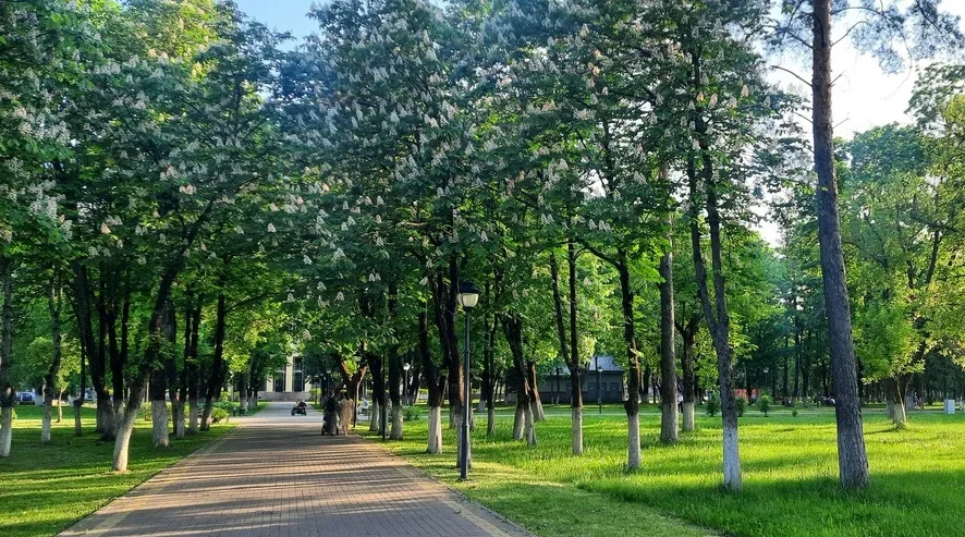 Лариса Куркина проведет зарядку для старшего поколения