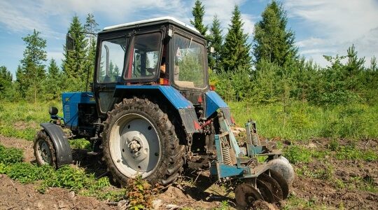 В Навлинском лесничестве полным ходом идёт уход за лесными культурами