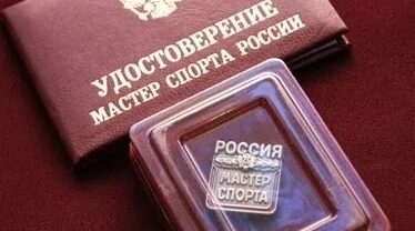 Высокое спортивное звание присвоено Брянцам