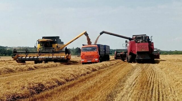 В Севском районе продолжается уборка урожая
