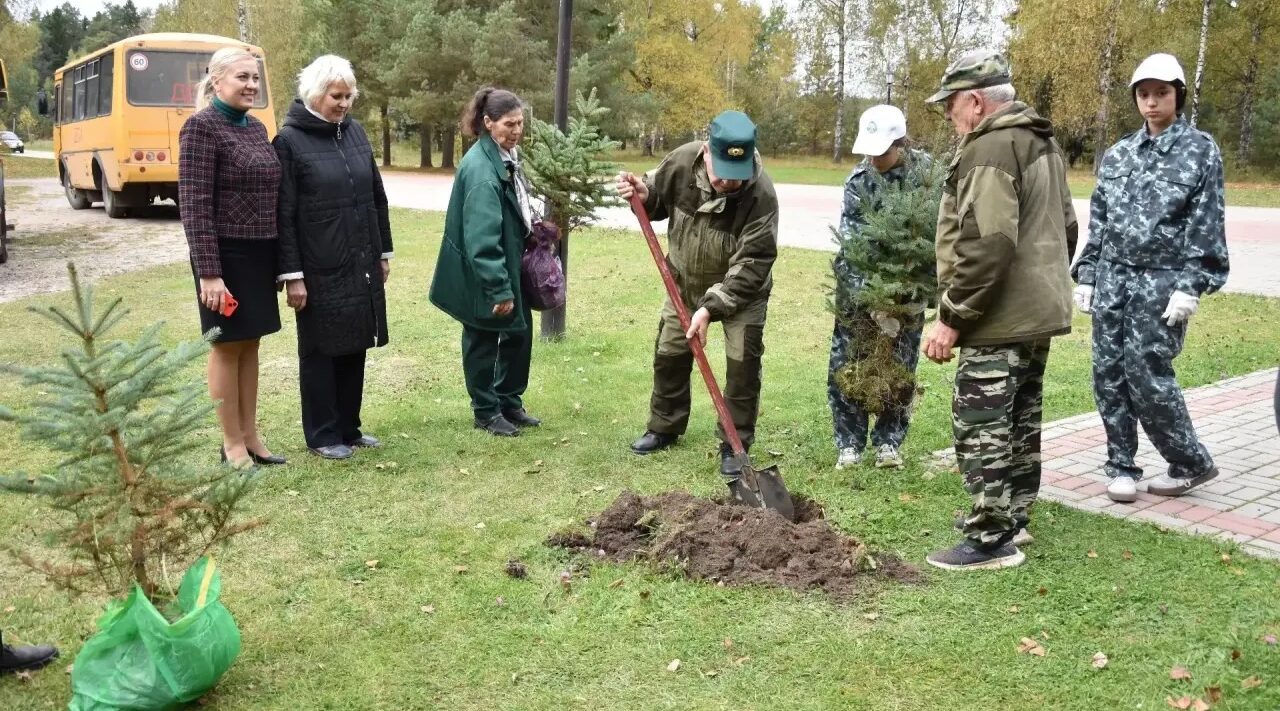Юннаты в хрустальном городе: как в Дятьково выросла новая аллея памяти